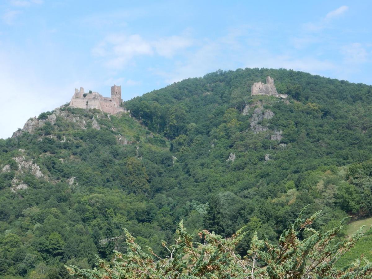 Gite Kientzler Ribeauvillé Exteriér fotografie