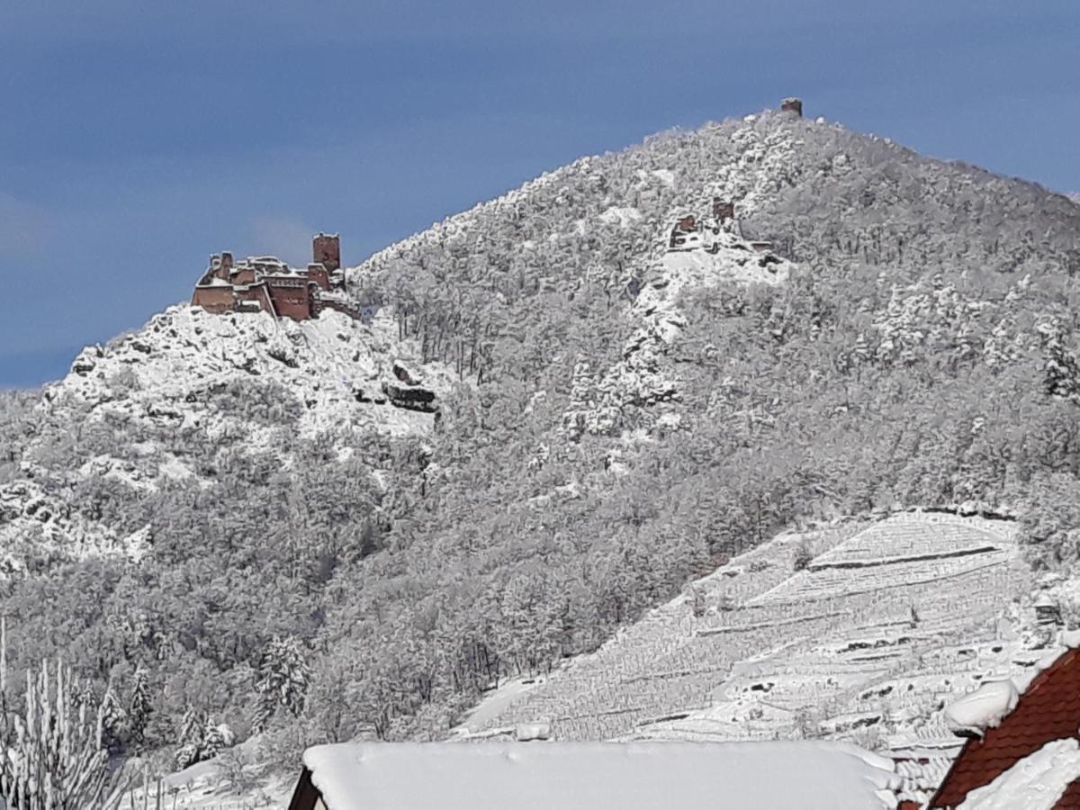 Gite Kientzler Ribeauvillé Exteriér fotografie